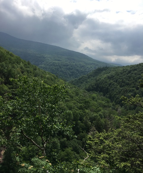 View from the Kaaterskill Falls viewing platform.